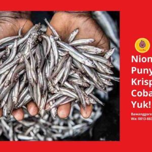 Macam Macam Ikan Teri yang Punya Segudang Manfaat