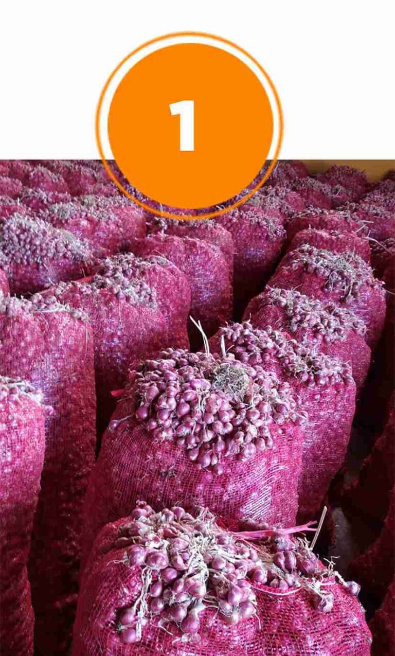 Bawang Merah Pilihan - Nion Nion