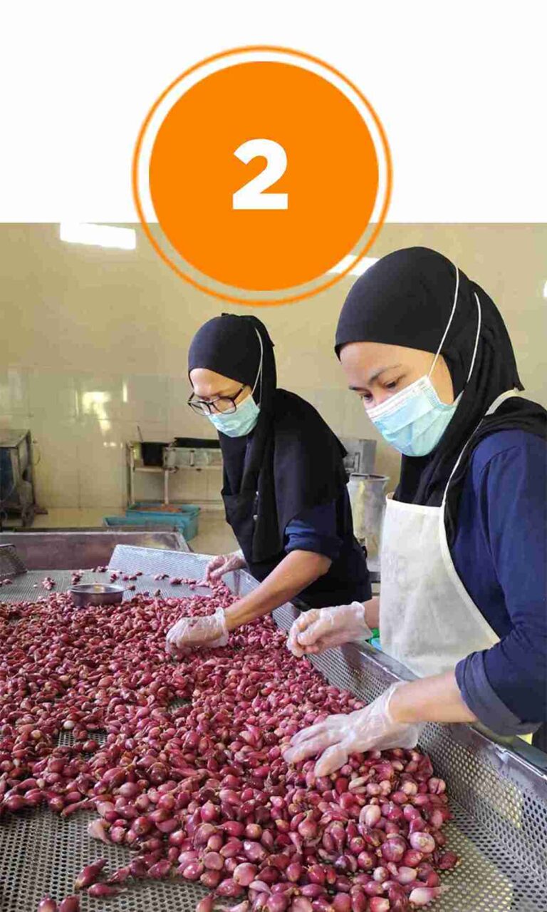 Proses Mencuci Bawang Merah - Nion Nion